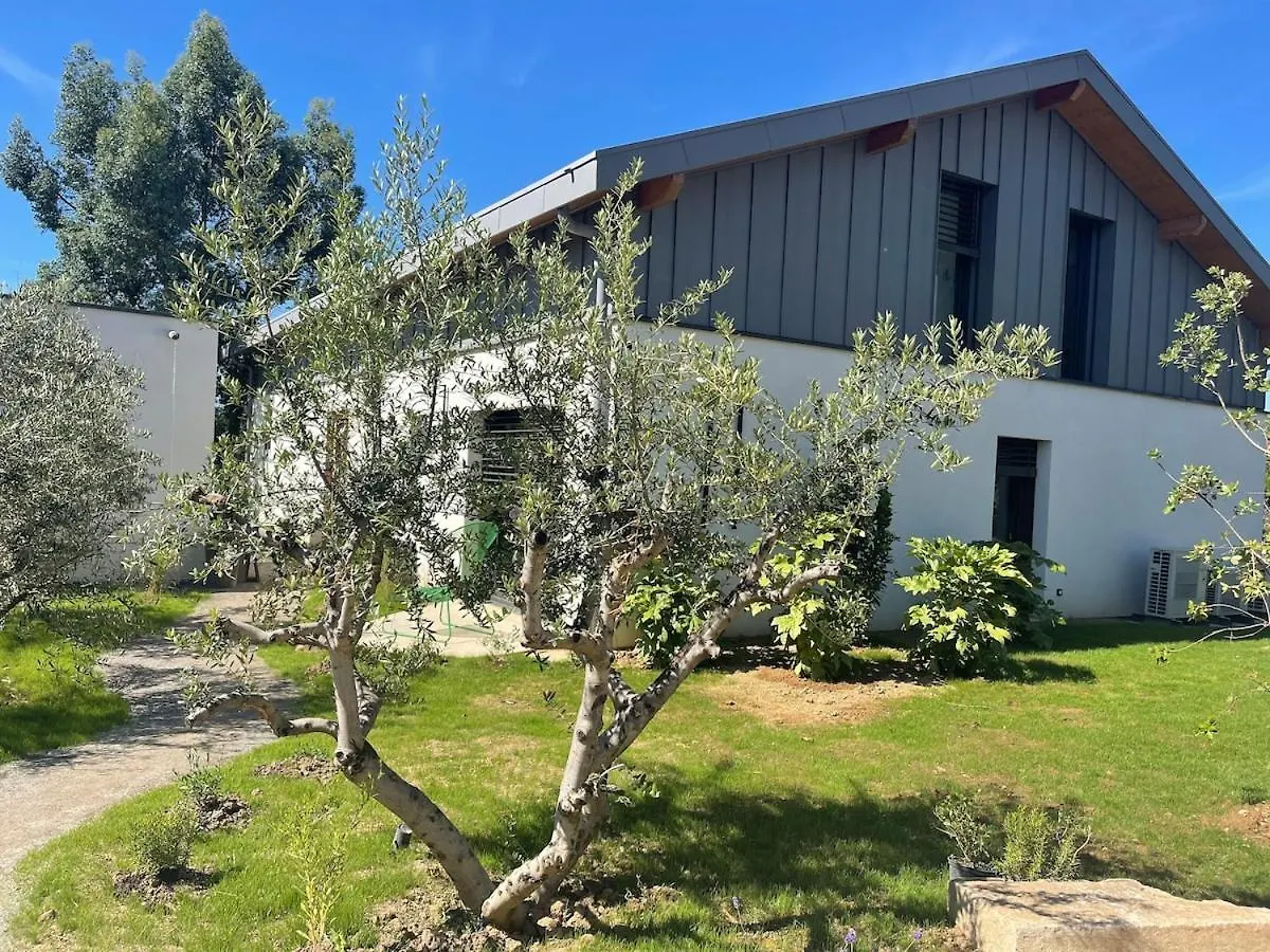 Villa Maison Lyon Ecully Piscine Climatisation De 250 M2