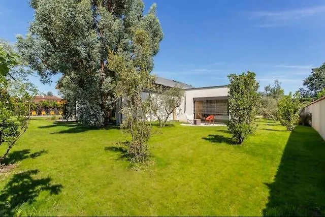 Villa Maison Lyon Ecully Piscine Climatisation De 250 M2